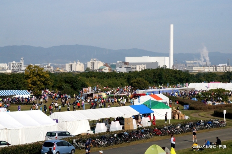 11月3日に訪れた淀川マラソンの様子です「【お知らせ】まいぷれニュースが写真5枚まで投稿できるようになりました」