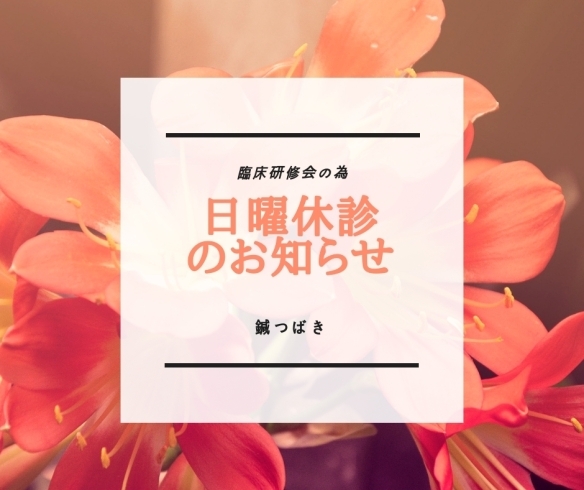 「休診（11/10）のお知らせ＆１周年スペシャルの残り枠について」