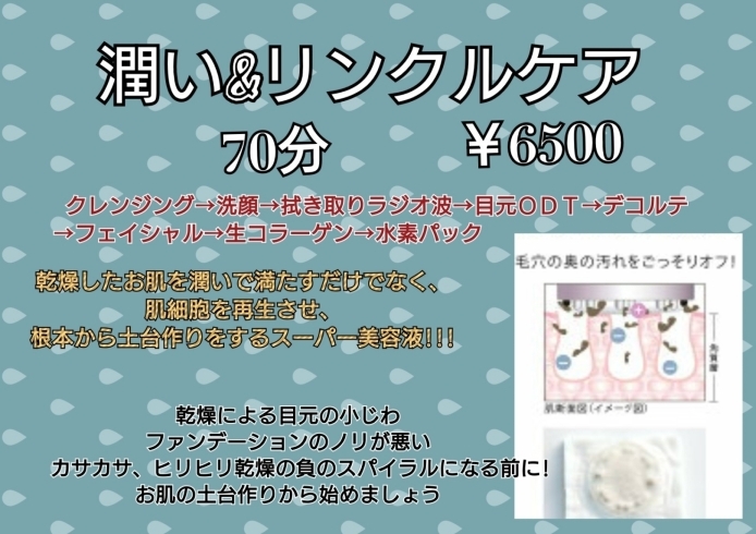 プルプル!!!艶々!!!「今年最後の特別メニュー」