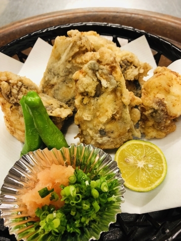 フグの唐揚げ1,200円(税別)「本日のおすすめ☆」