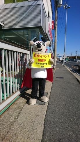 かくしかちゃん「★　大感謝祭最終日　★」