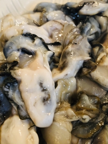 サロマの牡蠣「小樽の真だち、サロマの牡蠣、他にも色々ありまーす」