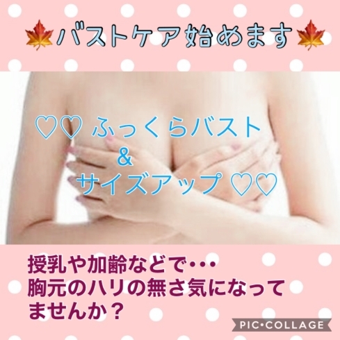 お待たせしました！待望のバストケア始めます！「昨日はとっても可愛いお客様が(๑♡ᴗ♡๑)」