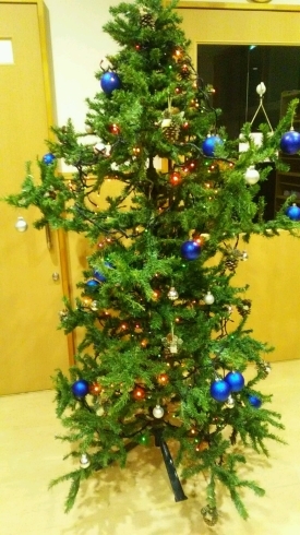 「玄関にクリスマスツリー」