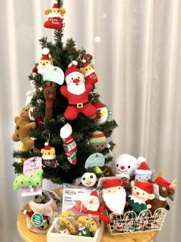 わんこのクリスマス「わんこのクリスマスおもちゃ　&　１２月のお知らせ」