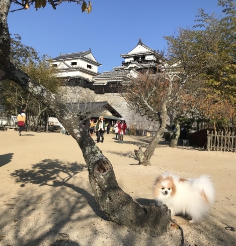 「「味」に関する英語表現」