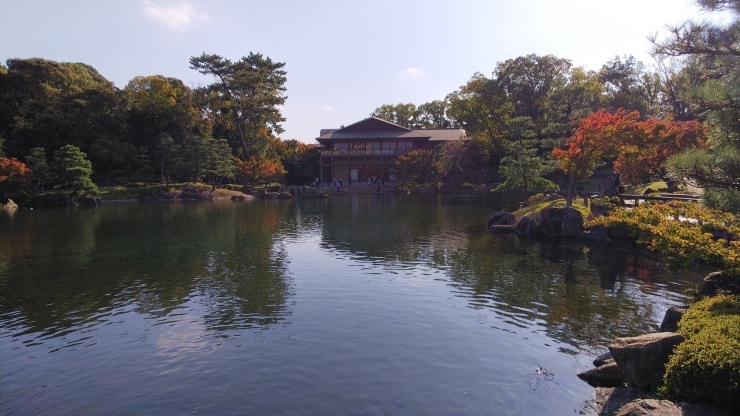 徳川園「徳川園に行ってきました   春日井市民ミズマサの子育て日記」