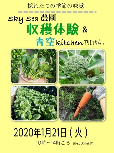 「野菜の収穫体験and青空キッチン」