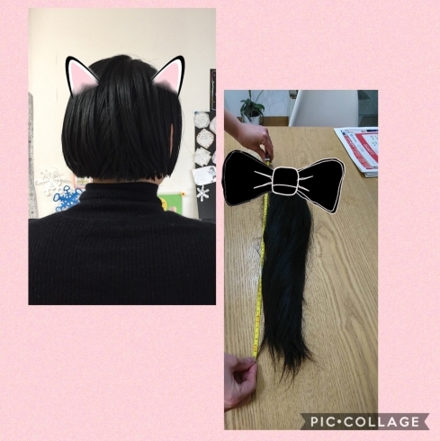 「ヘアドネーション」