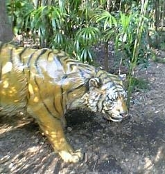 ジャングルの奥地に進んでいくと、なんとトラが放し飼いに！<br>茂みの中に潜んでいるこのトラくん。けっこう驚かされた。<br>