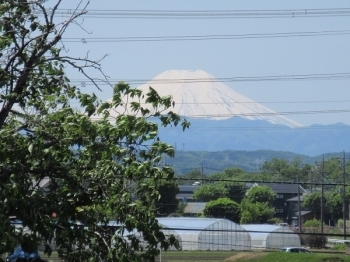 奥富プレイスの窓から見えた富士山です。