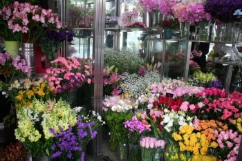 「早く私を選んでくれないかな」　売り場に飾られた花たちがつぶやいているようでした。