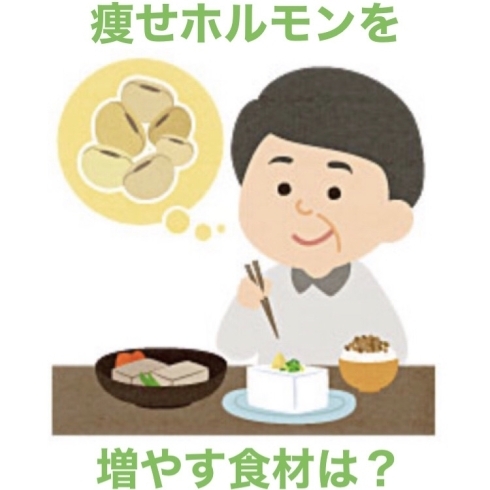 「痩せホルモンを増やす食材」