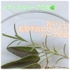 ★締め切りました★『おいしい、風邪予防にぴったりのハーブの会』メディカルハーブ in +1(プラスいち)