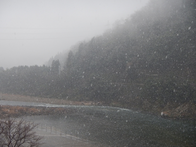 「ようやく初雪」