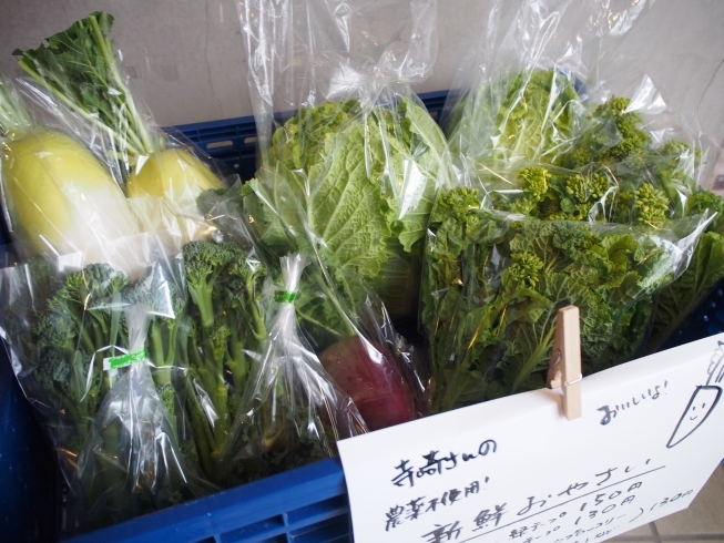 「野菜入荷しました！」