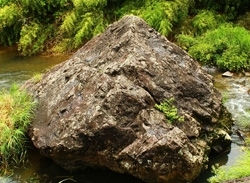 網かけ岩と思われる岩