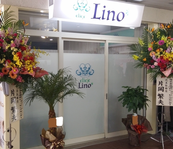 「新店舗　　elieje Lino  オープン♫」