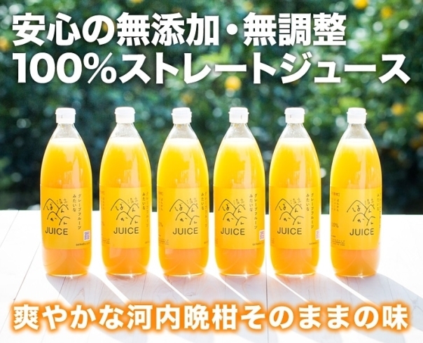 「愛媛の『河内晩柑 果汁100％ 無添加ジュース』」