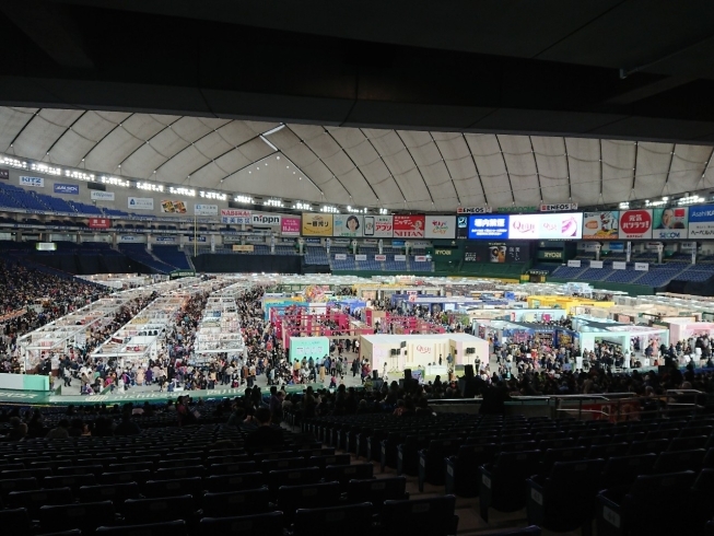 東京ドームいっぱい！「東京国際キルトフェスティバル2020」