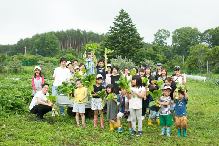 畑での収穫体験※イメージ「江戸川子育て会議開催のお知らせ！！！」