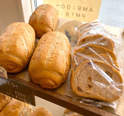 「本日のオススメ　パン工房ぱん田屋」