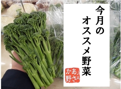 今月のオススメ野菜「★オススメの野菜★」