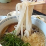 【大ちゃん 】肥前有田うどん