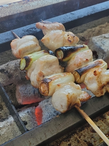 「炭火焼き始めました！」