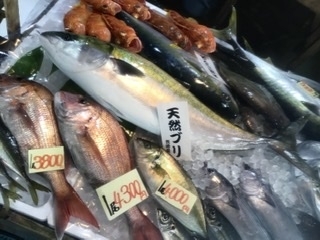 「西海橋物産館　魚魚市場には毎朝新鮮な魚介類が入荷しております♪」