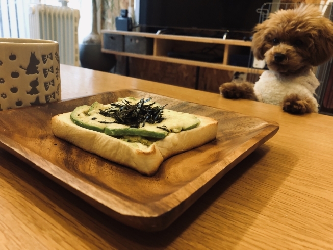 朝食を守る寝癖姿の愛犬「ある日の休日」