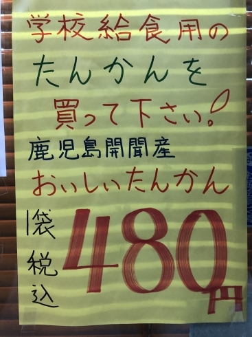 美味しいたんかんが行き場求めています。「小学校休校に伴い学校給食がなくなり、果物の美味しいたんかんが行き場を求めています。」