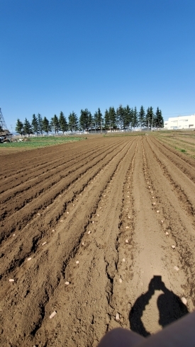 北海道のような景色です！「☆カラフル野菜の小山農園、春の種蒔き最盛期☆」