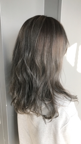バレイヤージュ✖️グレージュ「バレイヤージュ✖️グレージュ【髪質改善は京都市西京区のヘアサロン、フレールにお任せ下さい】」