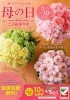 母の日のお花が《メニュー》で詳しく見れるようになりました
