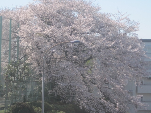 「春日鍼灸治療院」