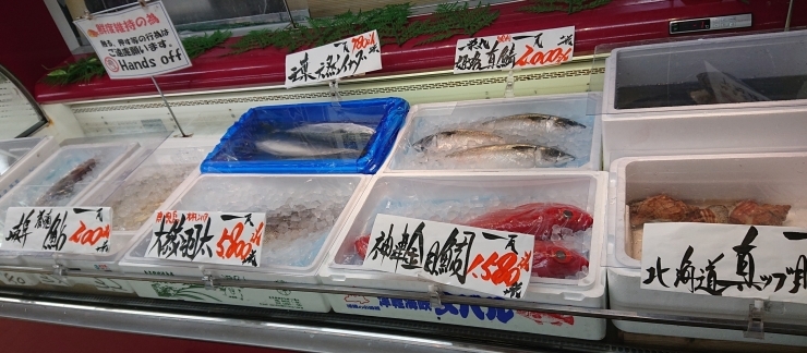 「八千代市、佐倉市の鮮魚店  京成、東葉勝田台駅から徒歩10分　 魚や山粋（ヤマスイ) 【地魚から旬物、人気の定番品まで大奉仕。)】」