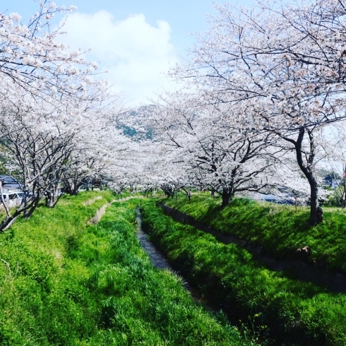 「４月の御予約可能日。」