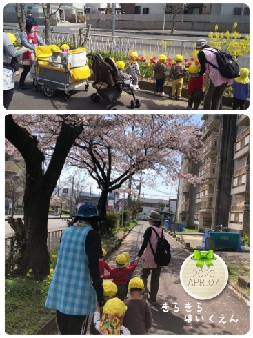 お花見散歩♡色とりどりのお花を見ましたよ！「電車の見える公園♡【交野市・小規模保育園】」