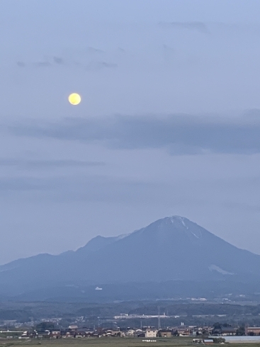 「コロナ対策」