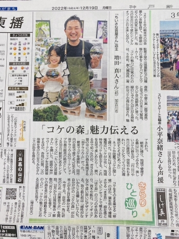 「兵庫の苔テラリウムなら「ちいさな苔屋さん」が、神戸新聞に掲載されました！！」