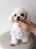 image.php?id=1750587&p=shopn&s