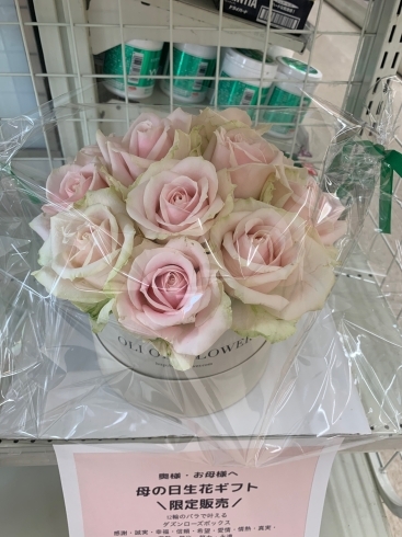 ダズンローズボックス　税込5,500円「バラの花束で母の日を」