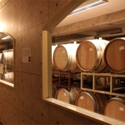 ワイン熟成中の樽が並ぶ地下貯蔵庫です。「広島三次ワイナリー ワイン物産館」