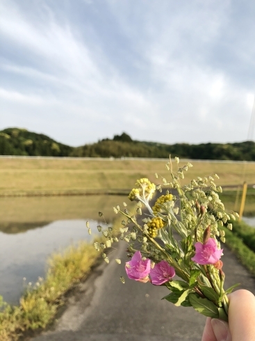 「今週もはじまりました」