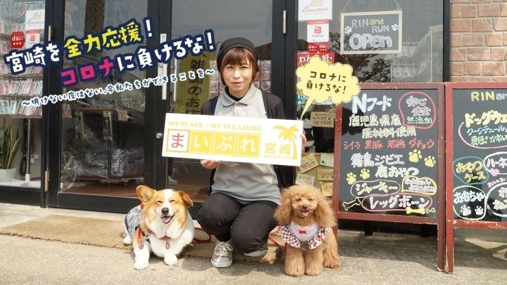 犬雑貨店　RIN and RUN（りんるん）「#チアみやざき〜動画配信情報④〜」