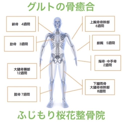 「骨折の後療法、リハビリもやってます」