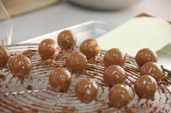 デリケートな食材・チョコレート