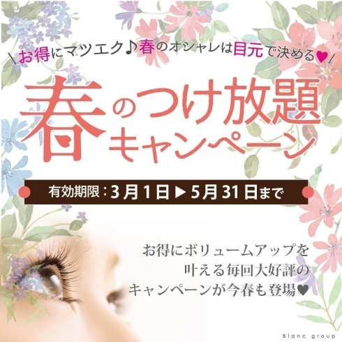 6月末まで延長決定！「春の付け放題キャンペーン☆6月末まで延長決定！【出雲　まつ毛エクステ・カール＊眉の専門店Blanc(ブラン)】」