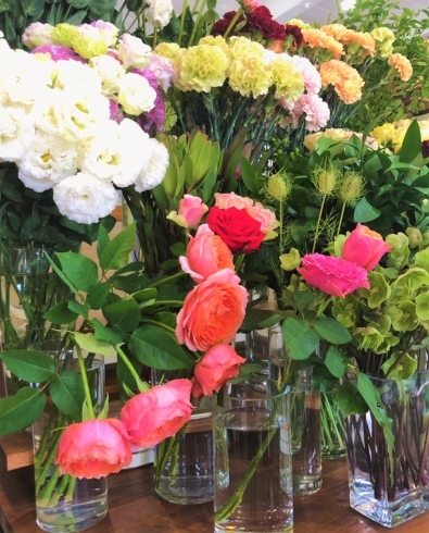 可愛いお花があふれてます「おしゃれな花屋さんを発見！　リラブラン【大垣市】」